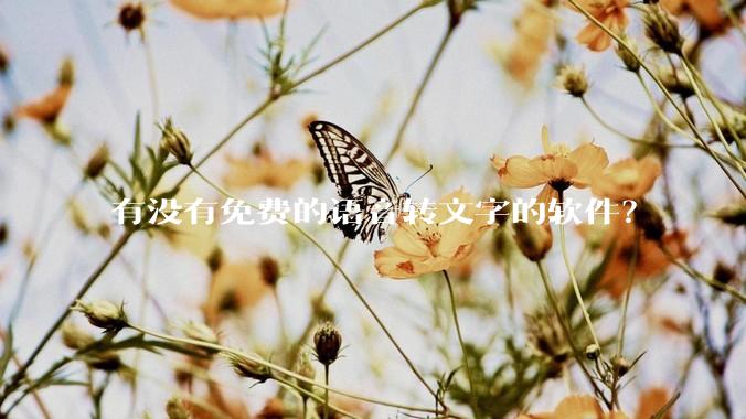 有没有免费的语音转文字的软件？